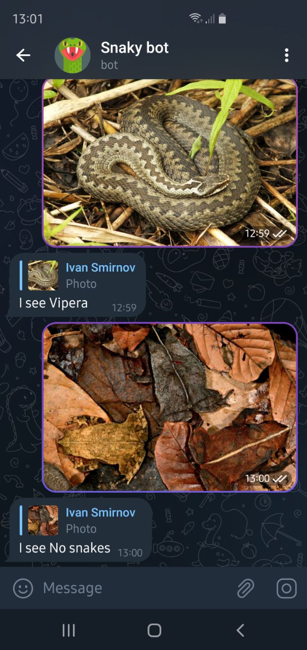 Ivan Smirnov | Portfolio