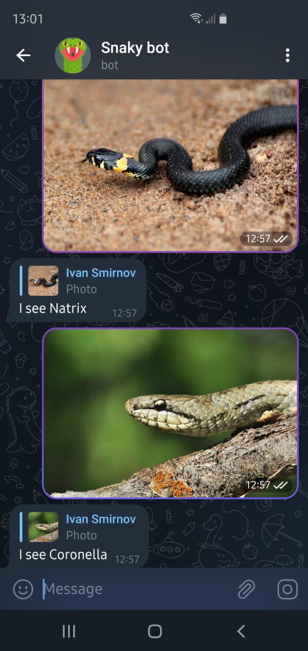 Ivan Smirnov | Portfolio